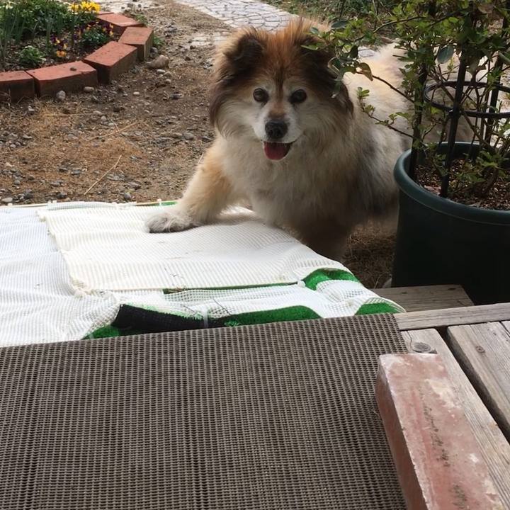 1b0d3123 195c 4b60 afe4 052626a019f2 1555742056967