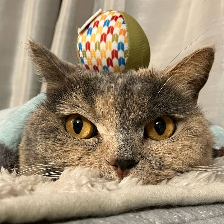 1b0d5bf2 865f 4306 9434 97af2581764f 1768998420447