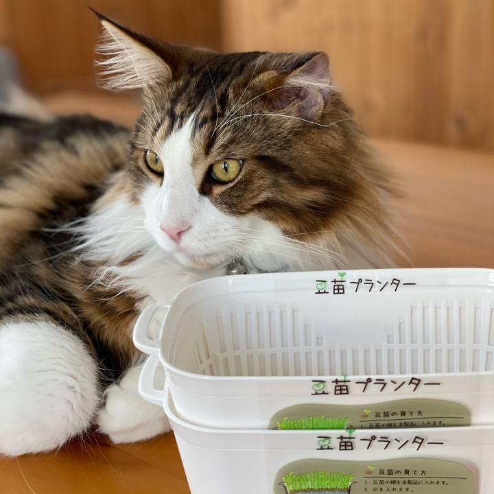 1b0d68de 3436 44ae 9831 a3c97c9fe19d 1652595644589