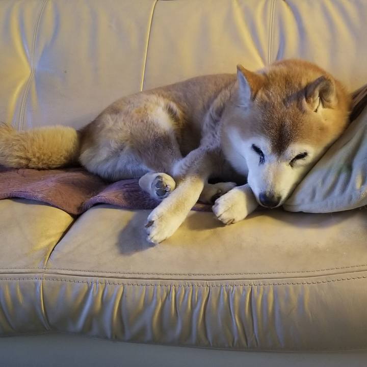 1b0d6b1e 8592 4519 9f42 faa3240a1177 1738885159806