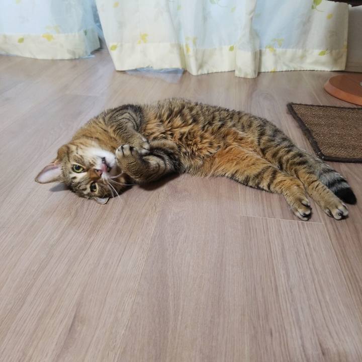 1b0d7ee6 9ae2 4c62 8277 396da7a164fd 1582752133393