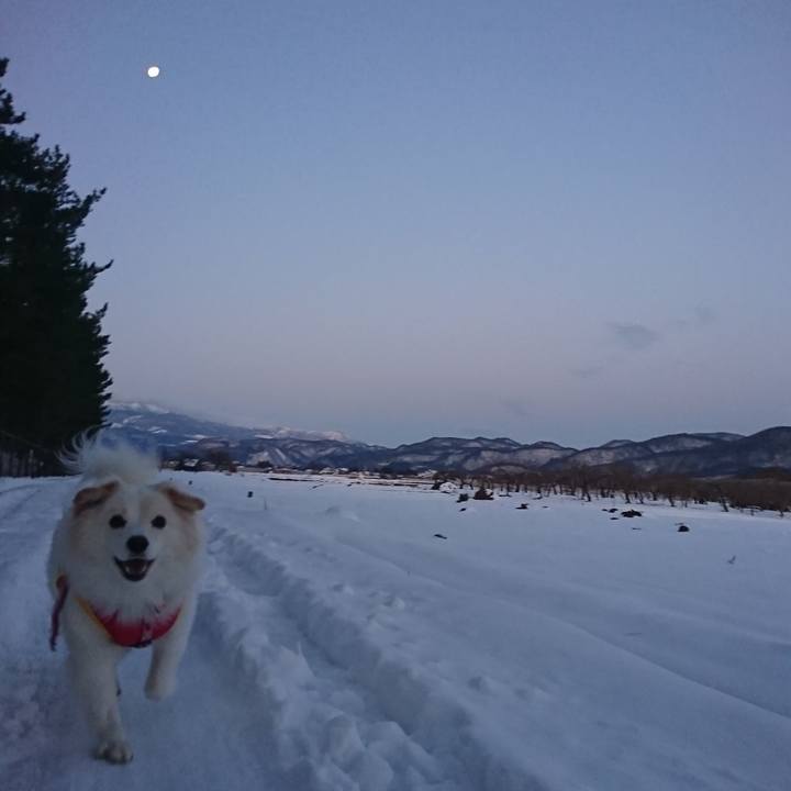 1b0dc691 b166 425b b8fd da0a06bbca1c 1708998259320