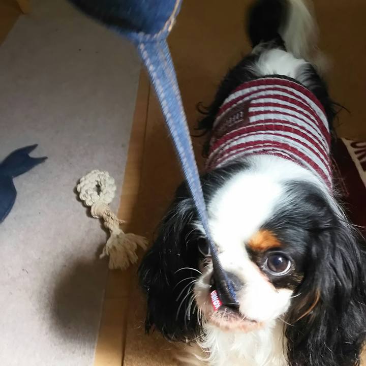 1b0df123 27fc 4888 9df3 77ef8efe5d0e 1549712704453