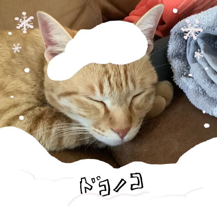 1b0e2dad 71e9 47ac 80bf d796884d696a 1771812674115