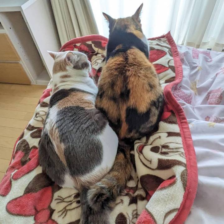 1b0e4c99 a3bb 4e06 a46b 0bc16b4e9876 1698032613209