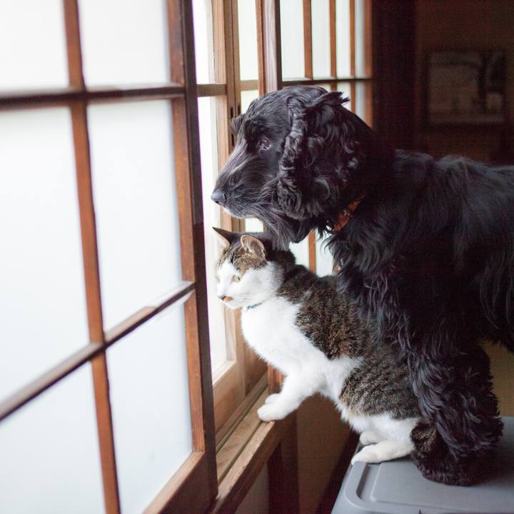 1b0e604c e985 43fe 8569 5d2671411e6d 1551772716692