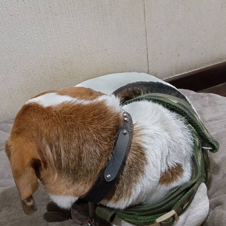 1b0eb240 dbd7 46d4 9b0a 762a5ff54242 1734943591083