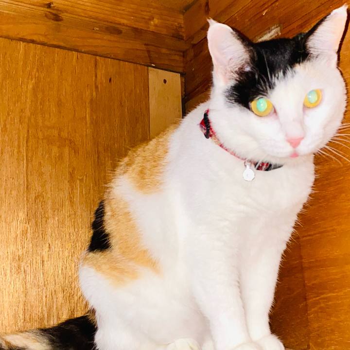 1b0edc0c 64fd 4f74 a031 8b10d192b38e 1688296575206