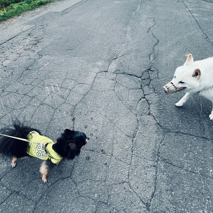 1b0ee8a0 58fe 4af3 a631 08f184ff0312 1754948335355