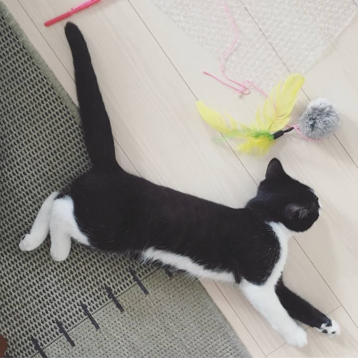 1b0ef04f 66ac 454b addf 4905219137c5 1529483435198