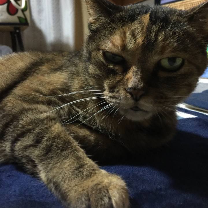 1b0f2974 6ada 46a9 b63b 9b816ce94f51 1533987293889