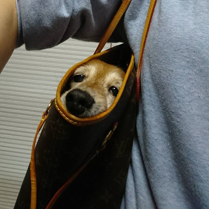 1b0f6181 dd51 4ac4 bd47 4092e712d1c6 1510709392408