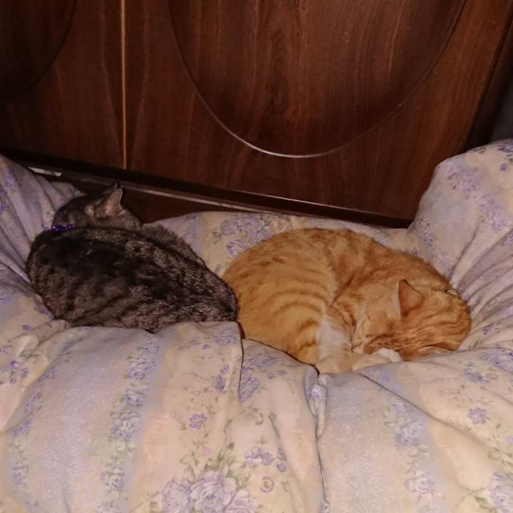 1b0f6af3 d152 4a29 99dd 073e1988eb3d 1590069985621