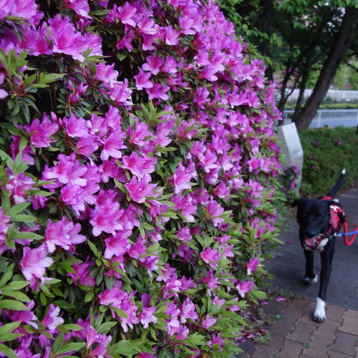 1b0f9f5e b61d 45c1 8ec4 4df742d5812b 1588381448506