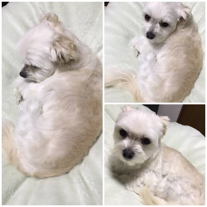 1b0facd0 0673 48f7 9490 f17790f8233b 1545481122018