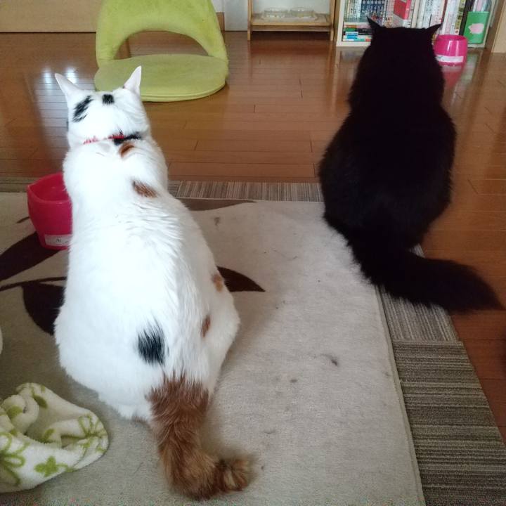 1b0ff36b 1e92 4a02 8a5c 99248d39a4ab 1622067577920