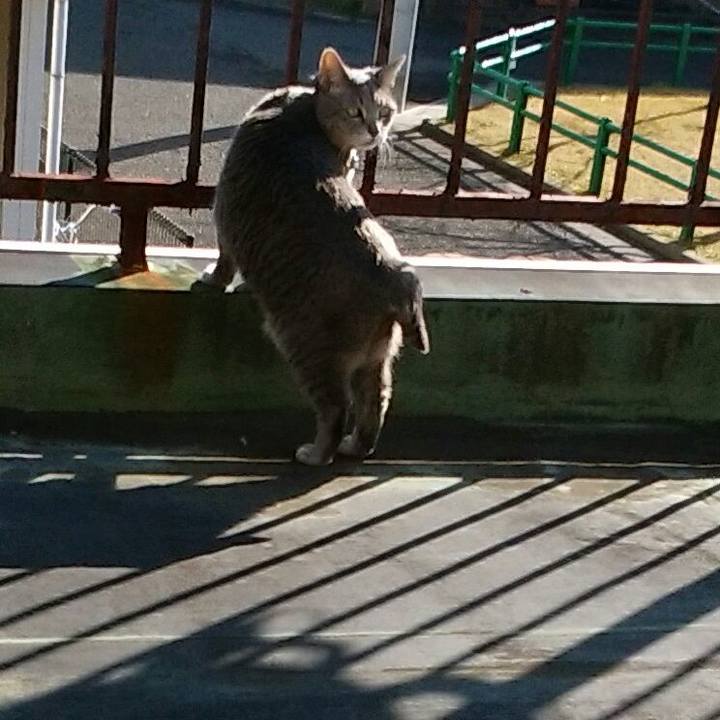 1b0ffce9 f1c2 45cd b9ee 80c8a1f76f5e 1577767129186