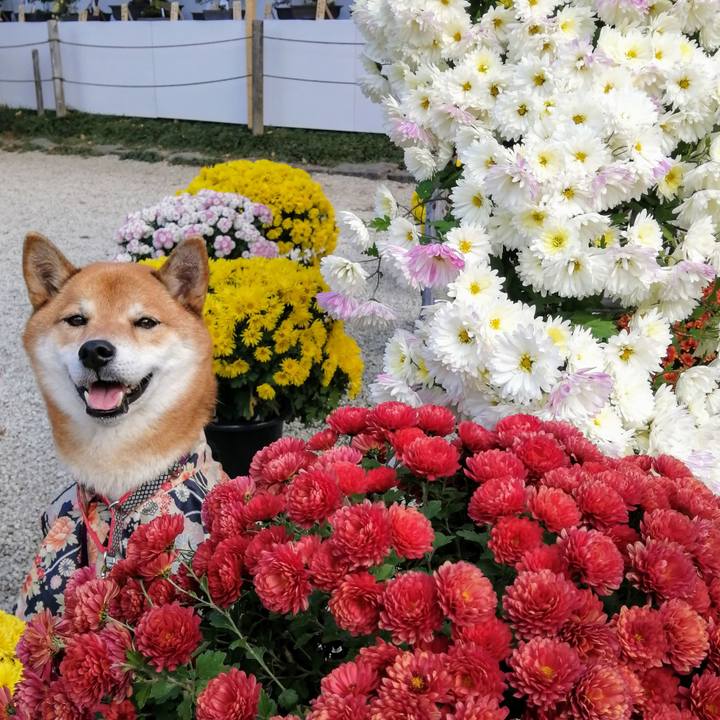 1b0fff74 7cd7 4d9a bcfa 531a270fb5d9 1606037902726