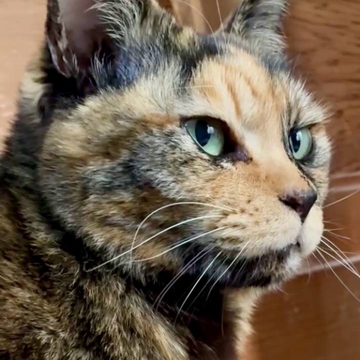 1b102371 043e 4dd8 b924 0eb6c085267e 1769069139978