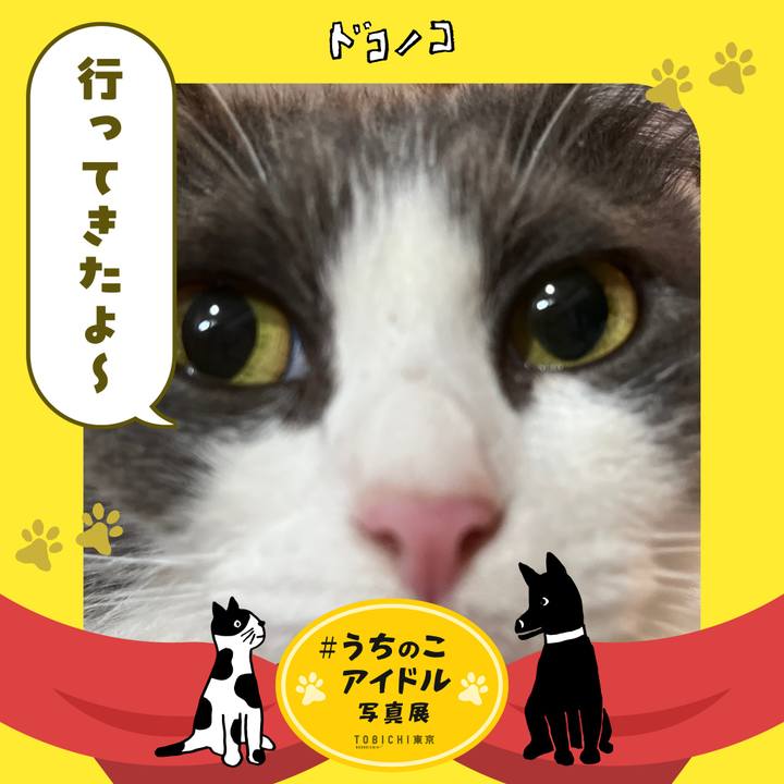 1b102c29 da60 44a9 8d18 44510f80192f 1761981087621