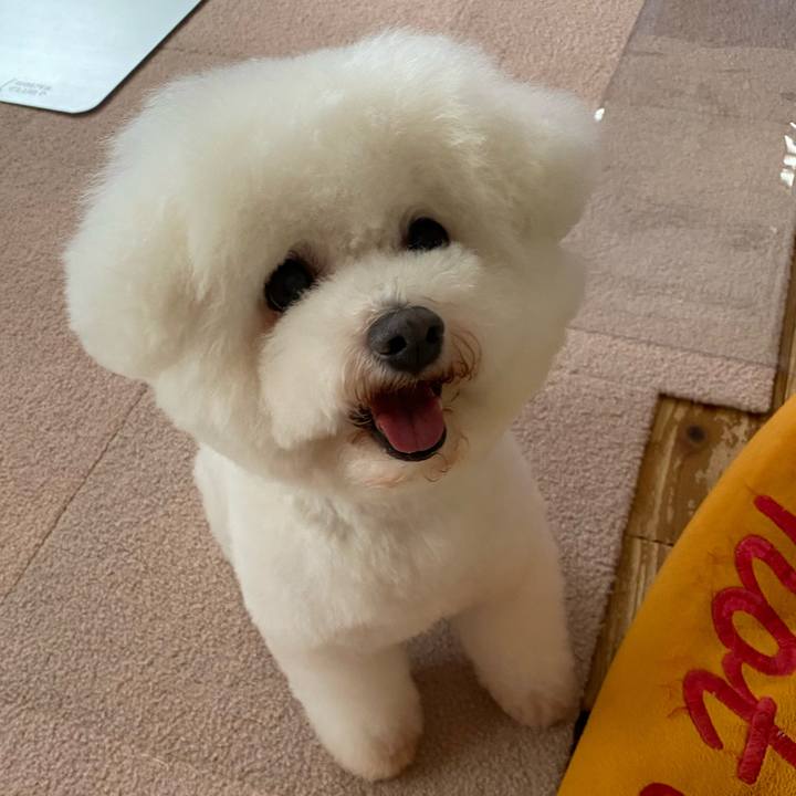 1b107153 c8eb 4e7c b604 dc1ea04b2013 1752557655731