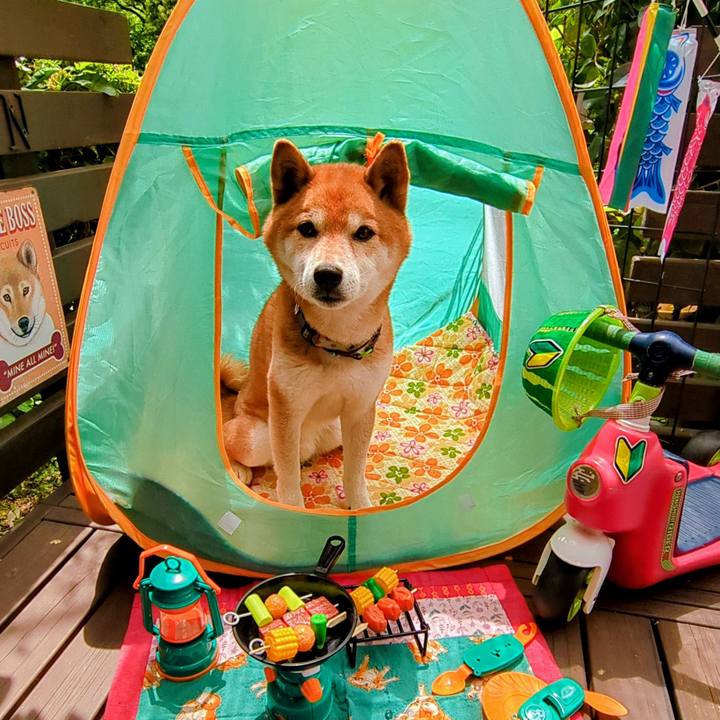 1b1082bf 06fd 4dea 899b 25a001b6de35 1746593636341