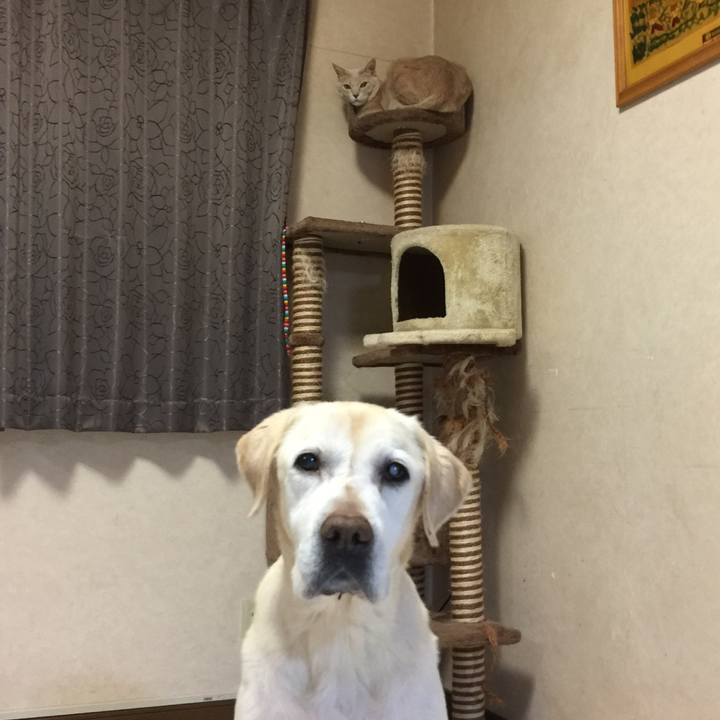 1b10ade6 00cb 434f 9376 dbb58243330d 1515147792432