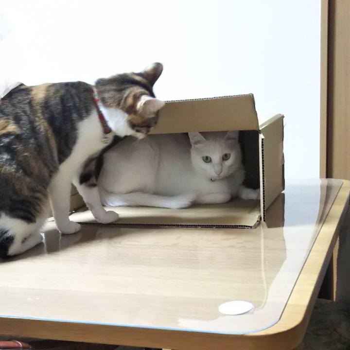 1b10c764 c804 490e 9ade 30103de3169b 1643329969479