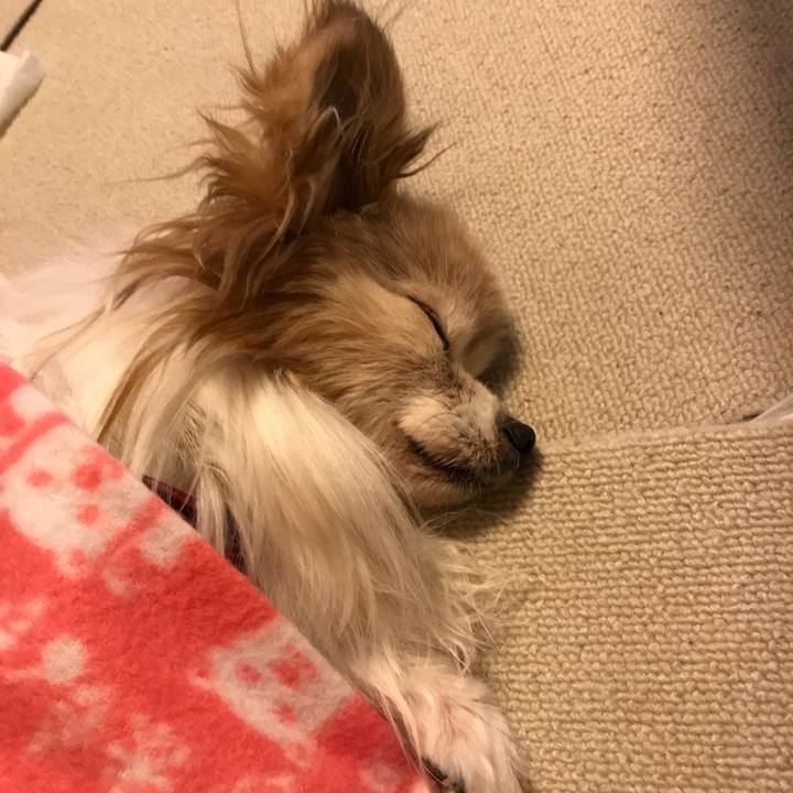 1b10d97a 9f2f 4754 aa5e 13276ad4d97e 1519560825348