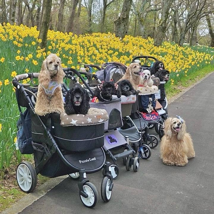 1b110b8c b1e9 493d 9578 3656cfd7d052 1712278038732