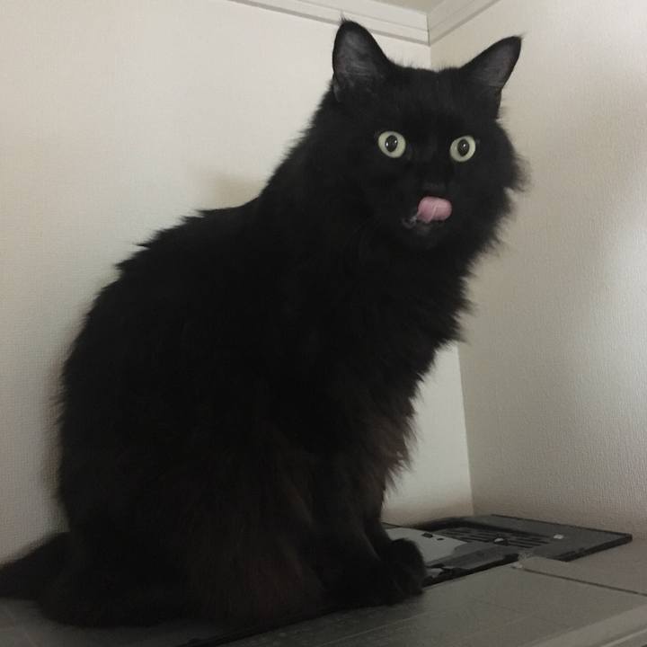 1b1130d8 088b 4cb8 a219 2e6161ed406c 1573274239513