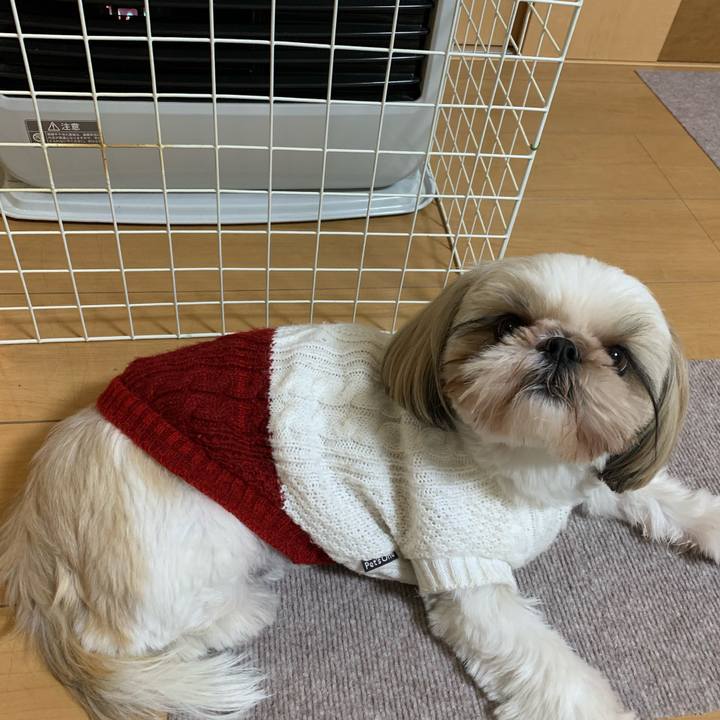 1b113c5c 3089 44db b0b1 68aa736d58a7 1642504887424