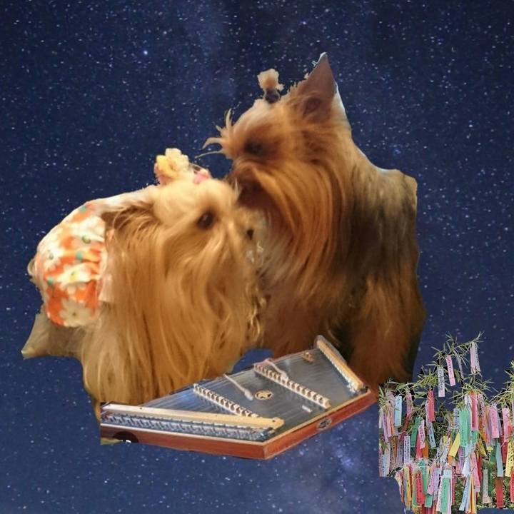 1b11677c a1e5 45f6 8dbc 61cd09384b3e 1688728644893