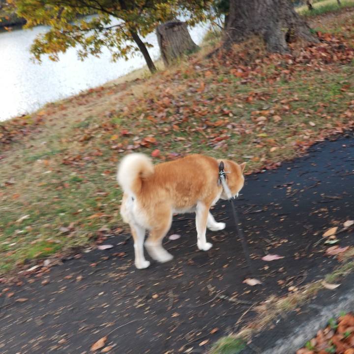 1b11700e 0331 4fc4 8eec d0525d647dc9 1700291394779