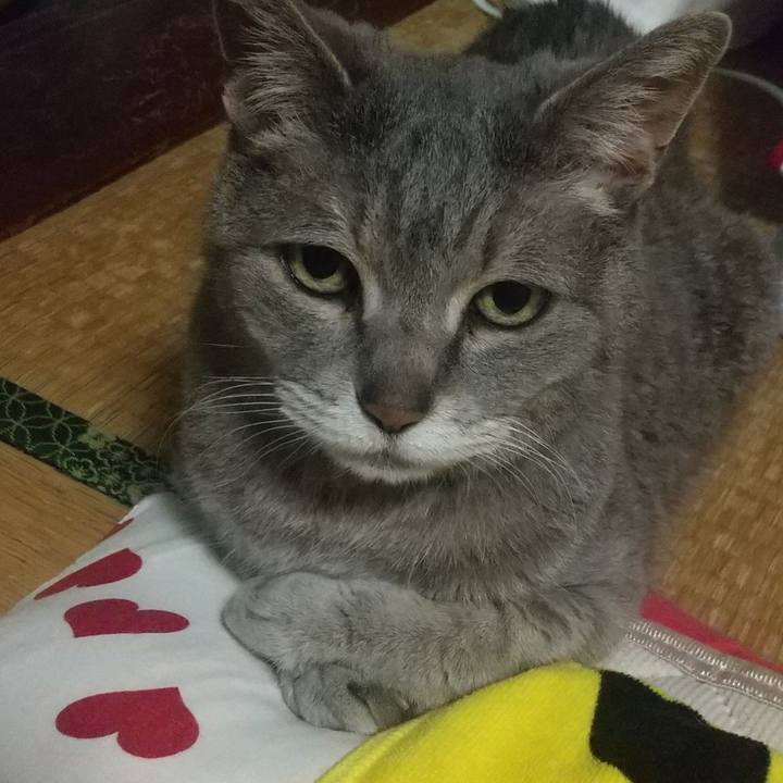 1b117a68 66a0 499f 9172 268347f24b17 1685371422490