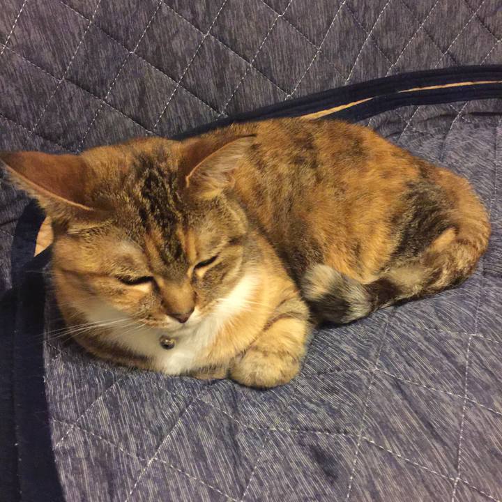 1b11cb1f a5c8 451a bdd2 8164c1517571 1558957297048