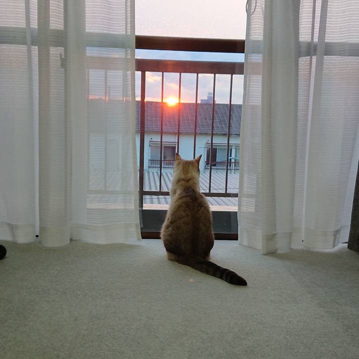 1b11da58 4098 4b15 b5fa 66b47ad5d8b4 1521880877026