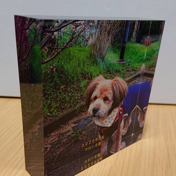 1b1220fb c77d 4e40 80e1 e4e5b416c622 1586510894311