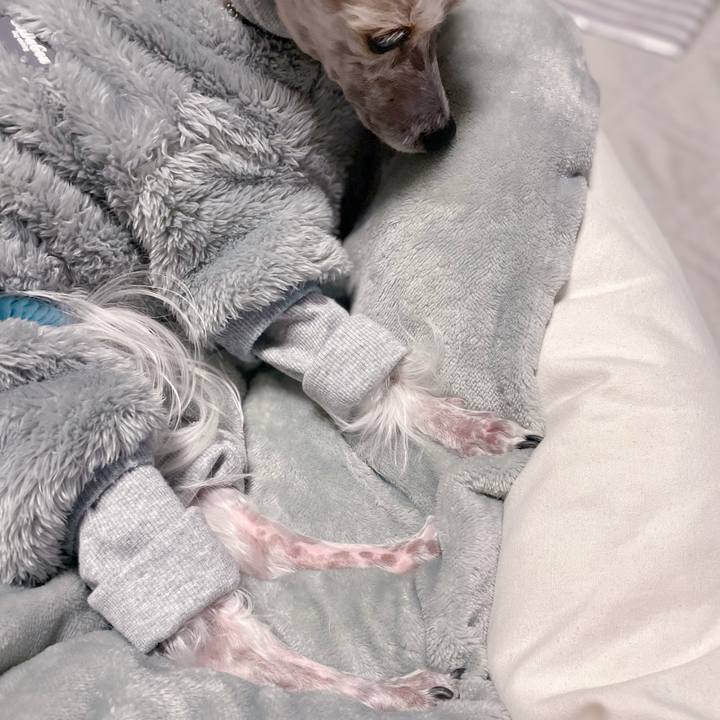 1b1269b7 6ebd 4cd5 996a 4c4ee0f129bc 1768383783366