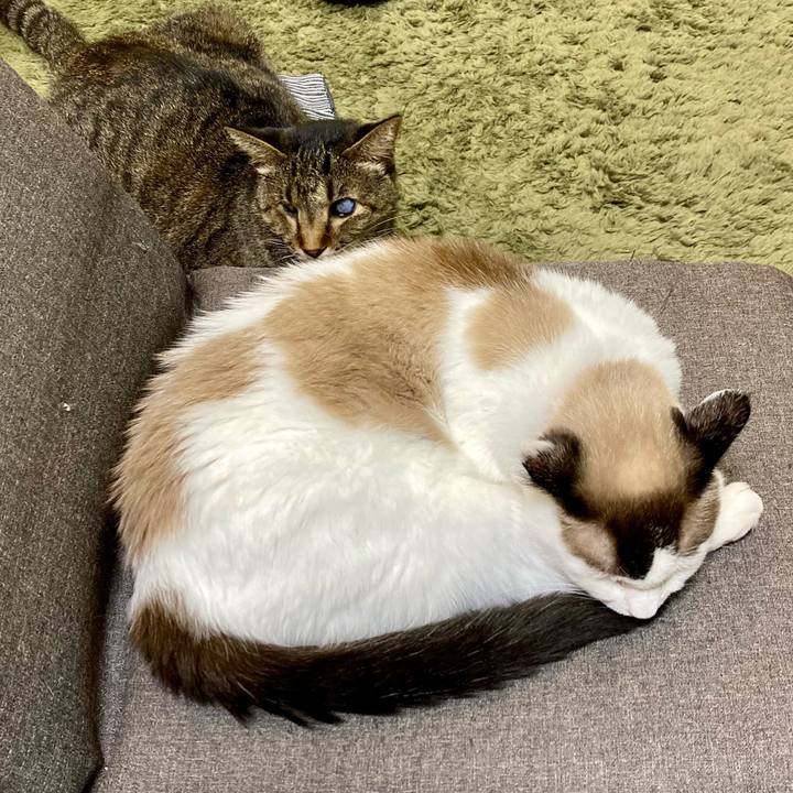 1b12b46a 26d1 4b28 a559 e6d8d4f62e5b 1660468991223