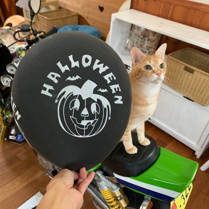 1b12df60 0023 4b75 bb7c fae7ecaf3523 1667167137060