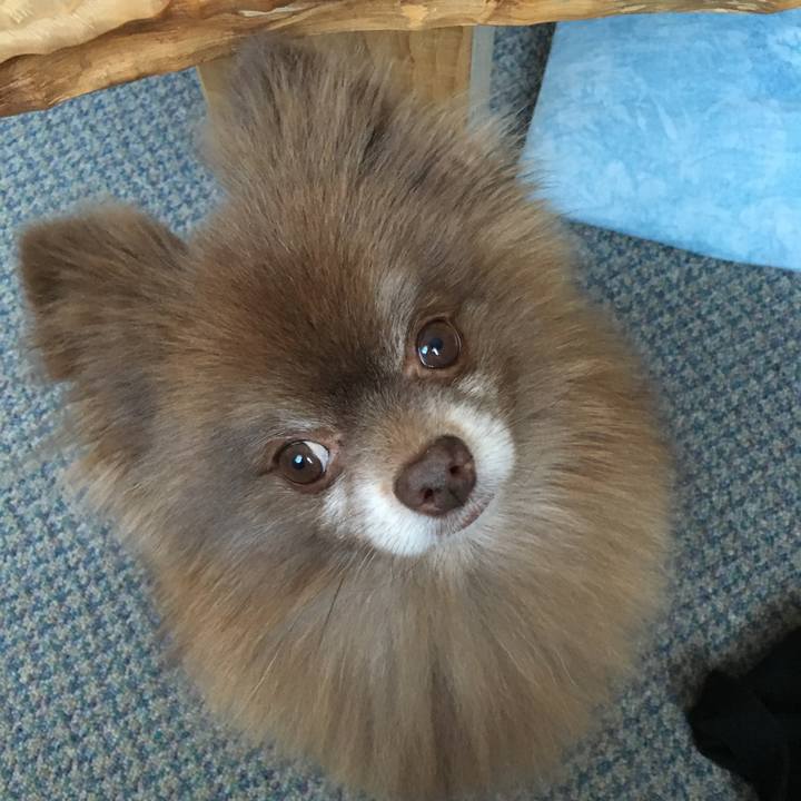 1b130706 7725 41ca 8764 a7d2840ad8f1 1520285108281