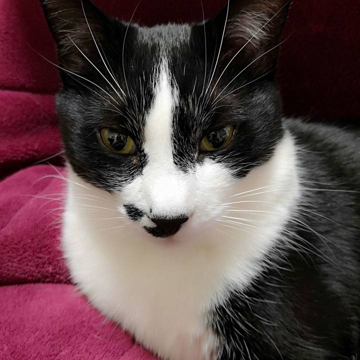 1b131de6 3456 444f 8b3a 8175bc8212fc 1552822031612