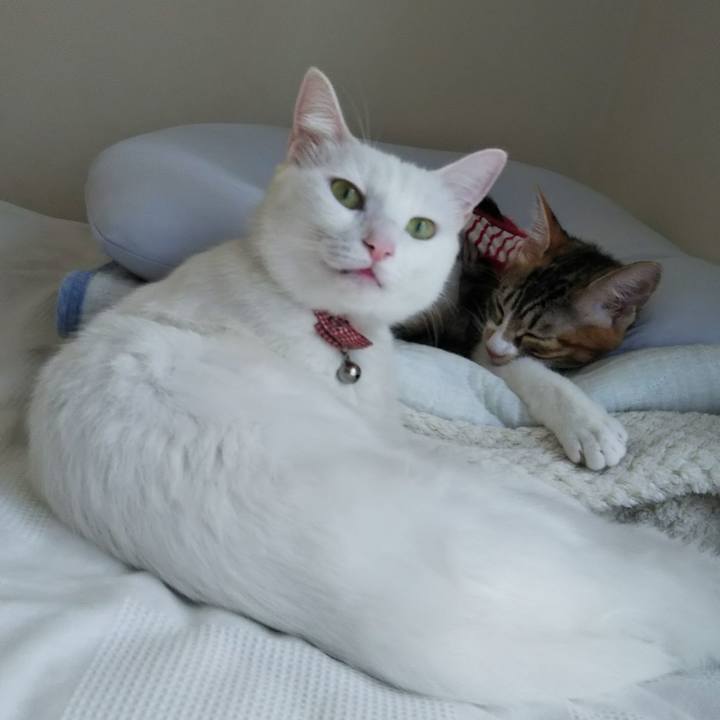 1b1328f8 1e0d 4db4 89bf f94a972476c3 1634269965331