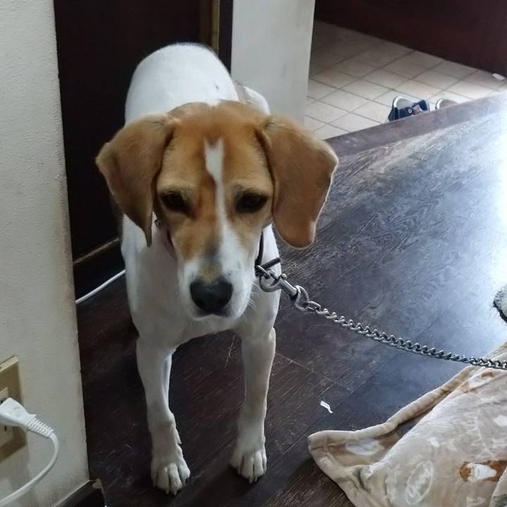 1b137ddc b578 461e bdb0 0e2759555b8a 1585710137795