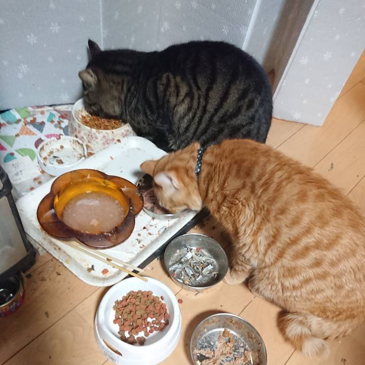 1b13b35f a45a 463b 94dc bea6d0850b3e 1640174244345