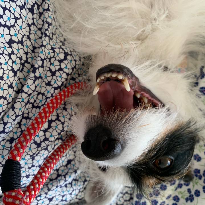 1b13e5ed 33a0 4584 8a53 cf88bacecc5b 1656140050369