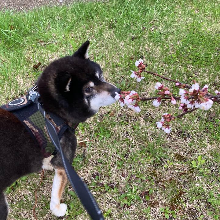 1b143122 4595 48b5 ab77 654cc4bf62e6 1682466148396