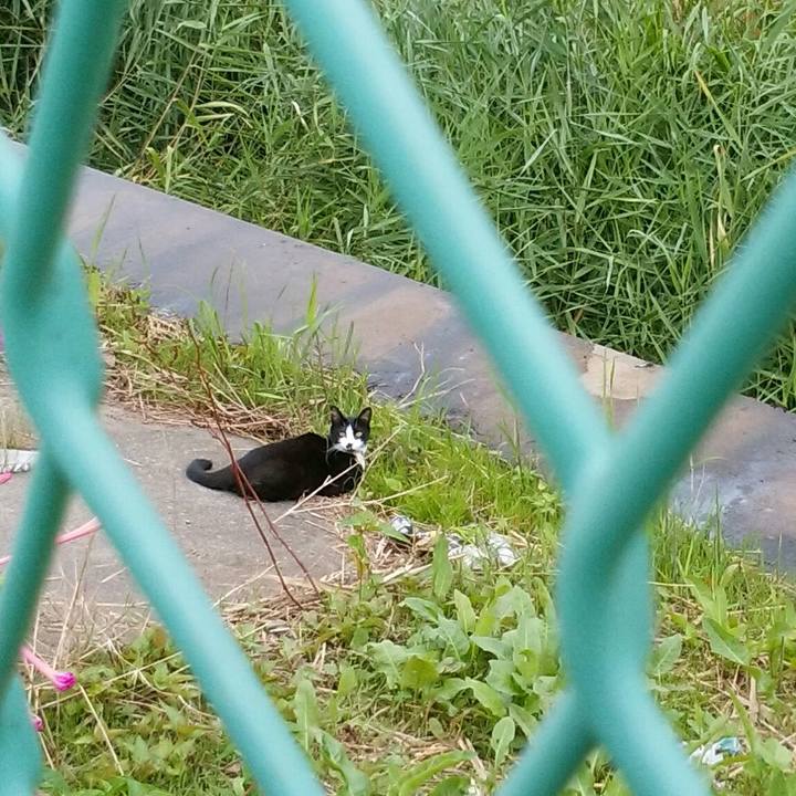 1b1449f9 7244 4fe0 914f 16f64a36ccb6 1563690028209