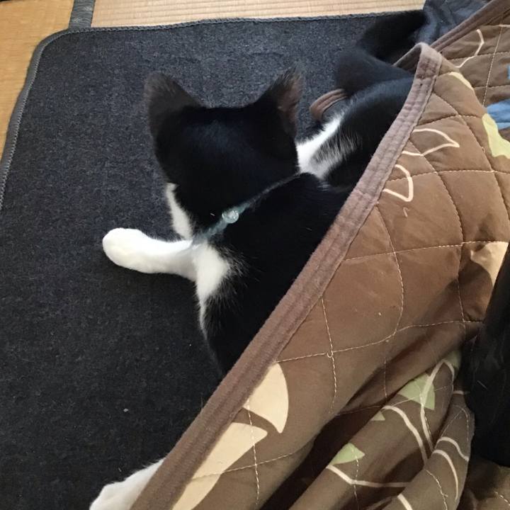 1b14743f 483e 43de 98e5 7b41dfce5585 1633235220649